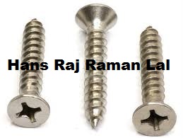 Stainless Steel Self Tapping Screws